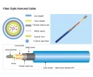 Fiber Optic Armored Cable