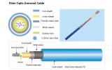 Fiber Optic Armored Cable